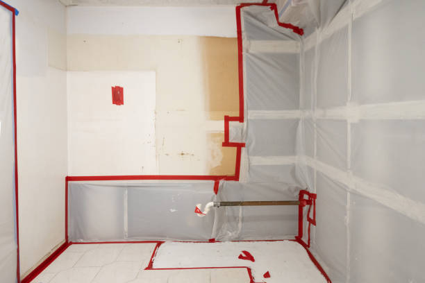 Best Environmental Consulting for Mold Prevention  in Royalton, MN