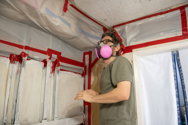 Best Asbestos and Lead Testing During Mold Inspection  in Royalton, MN