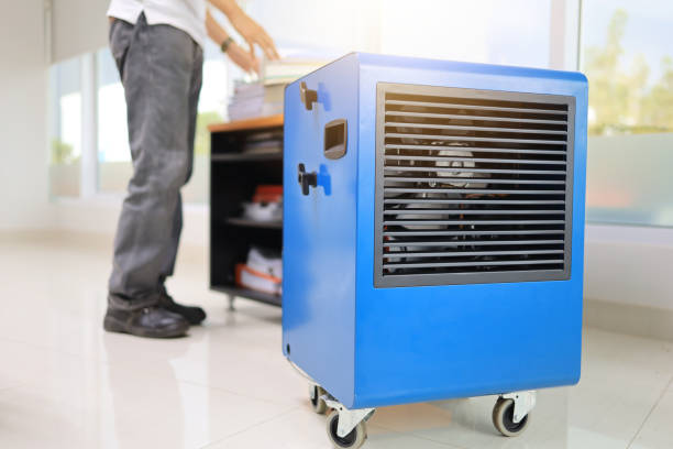 Best Mold Prevention Services  in Royalton, MN